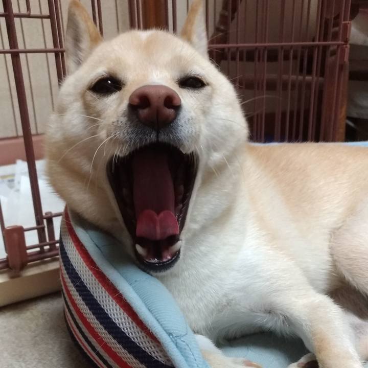 95bee7b4 a9d7 4b16 9f94 6eb14a777bcd 1570534498730