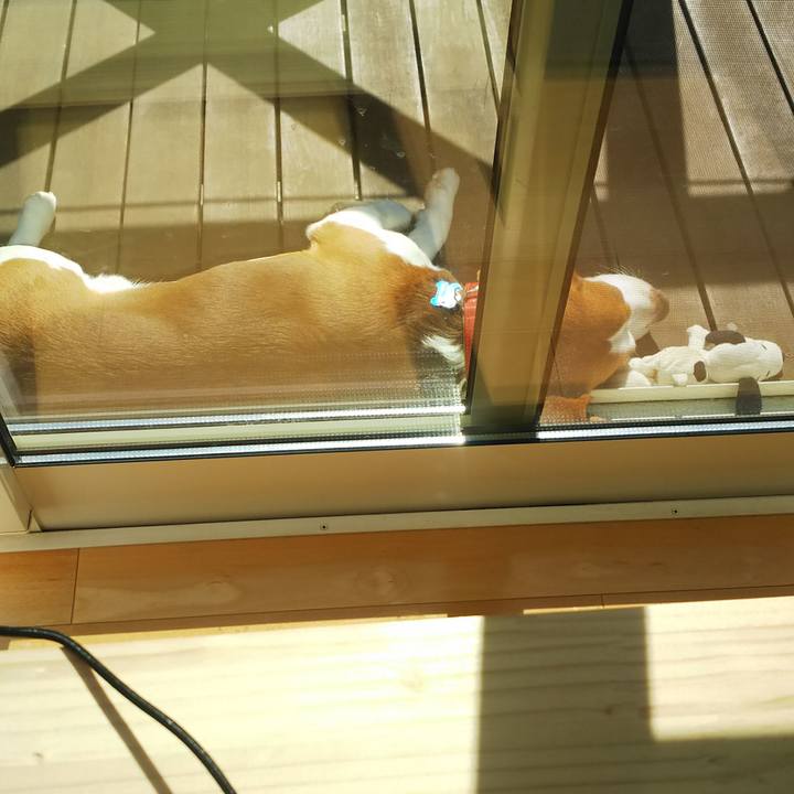 95bef6ec 1a93 4194 a915 bcd850cde2ad 1613791331128