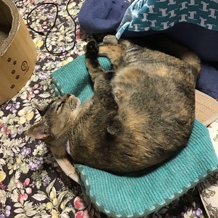 95bf0fce d8e7 4081 b2ca 973eb7ea2a38 1748753872379