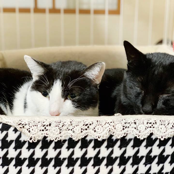 95bf171a ea9a 4348 bddb ee7ea13952e9 1550626755512