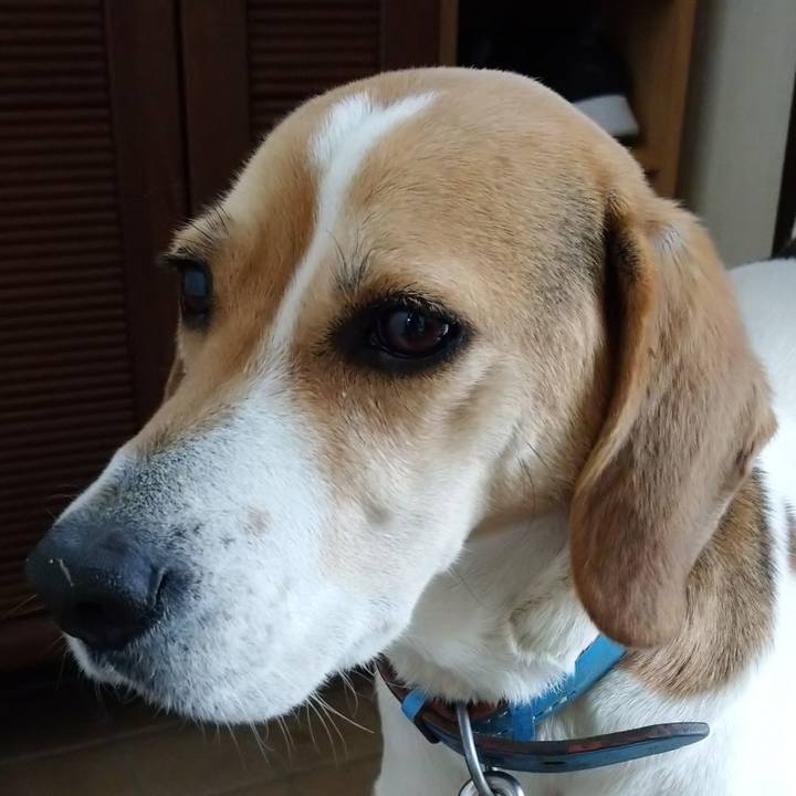 95bf1c83 a482 4c85 b48b 19bbb24e22b0 1614741766356