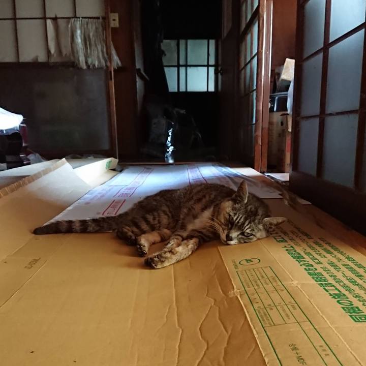 95bf27b0 9528 4e88 a185 d6d74d00956f 1597293617408