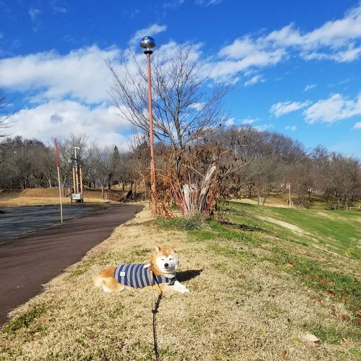 95bf40dd 46de 4d52 b438 d91e3bd733a4 1670906882666