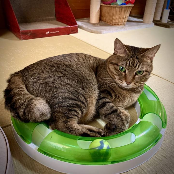 95bf7045 a7e9 406d 9a57 04023a2f905a 1572248723610