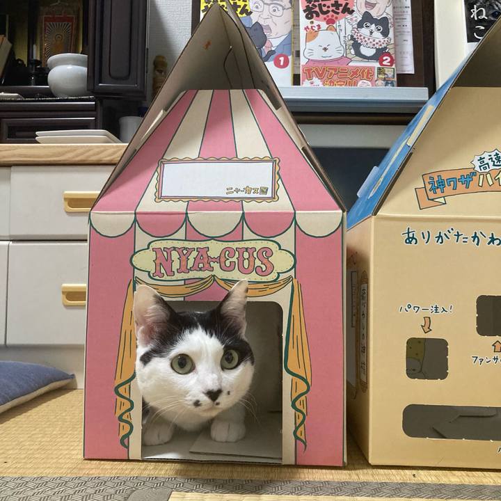 95bf8713 c123 438e 9a39 72d730772cac 1774531231167