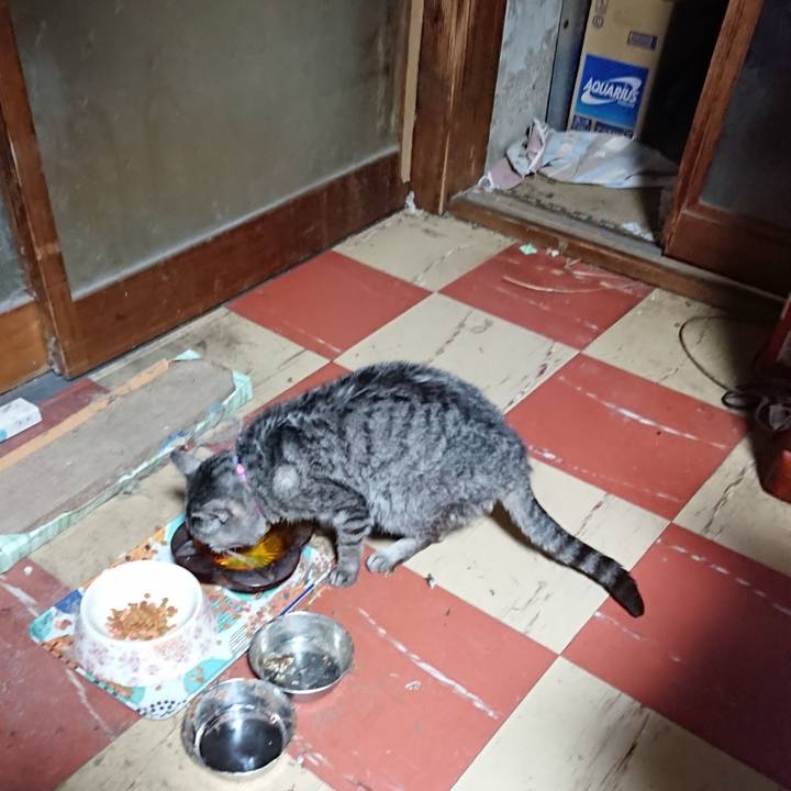 95c0039e 181d 41ec b61a 96a76f717445 1580154889843