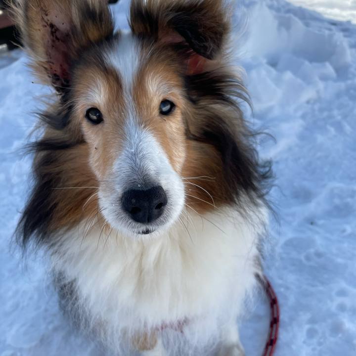 95c00957 3aa5 48a8 805b 575aab546c3a 1615298193436