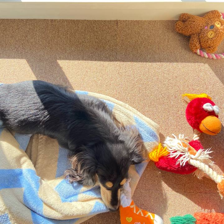 95c02189 c6fd 429c addf 29243eab937d 1706575611841