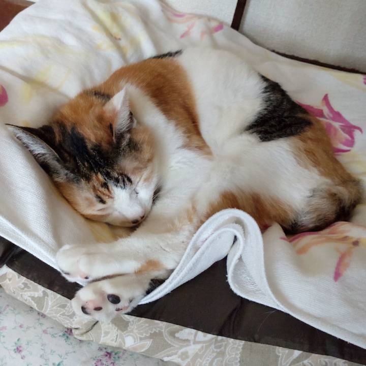 95c0240c 5e54 47fb a124 aca59fa61df8 1672634510764