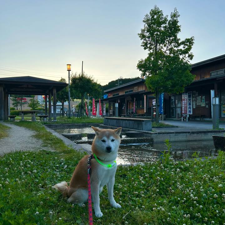 95c04cc7 06f6 4f28 b01a a0477f04d5c8 1717502604252