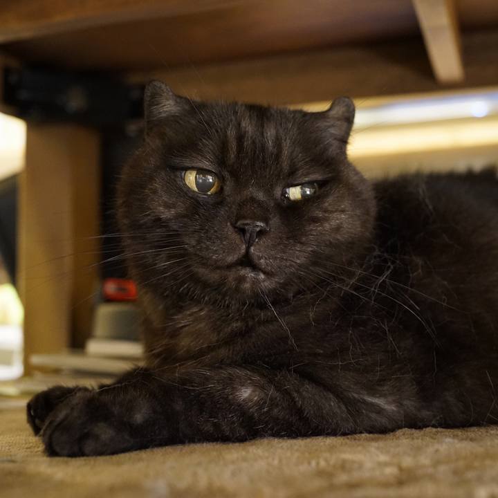 95c063dd 8887 4ea4 81b0 9ed20611e8ab 1631120078786