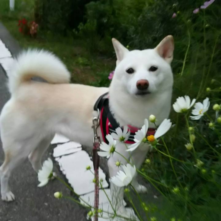 95c08ba5 d5cc 497f 828b bdacc8660b64 1537695353138