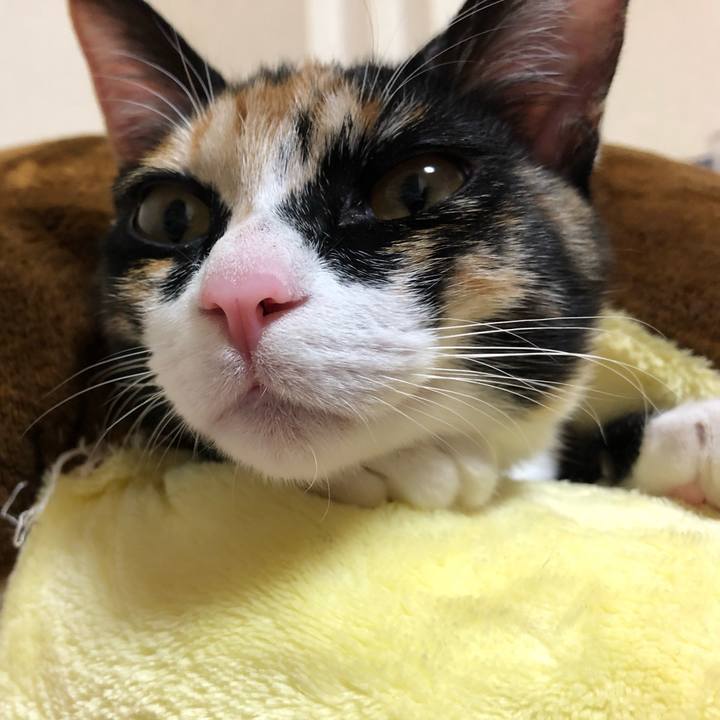 95c0af83 b909 41b8 9555 74469baced50 1549875692265