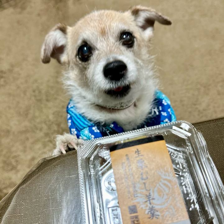 95c0b305 9d51 4264 a441 96b8f6fbe61e 1703326137403