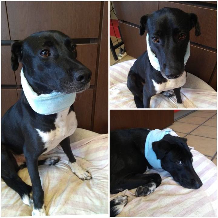 95c0f2a9 084e 449f a3e3 c00504a1a5b0 1592183504309