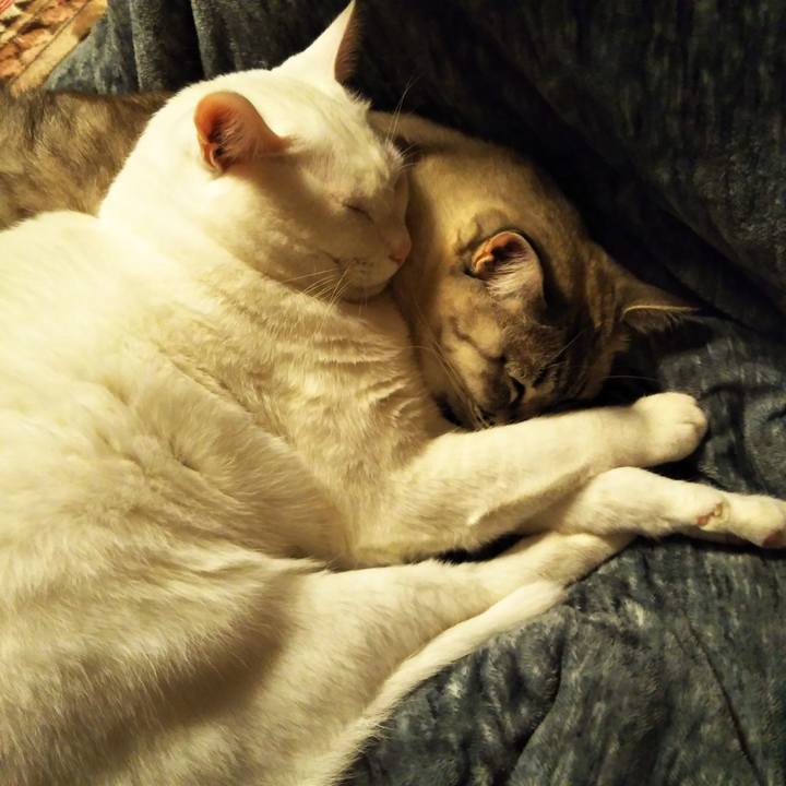 95c0f343 4fb4 45a2 b31d c00fe6f9a520 1579089124328