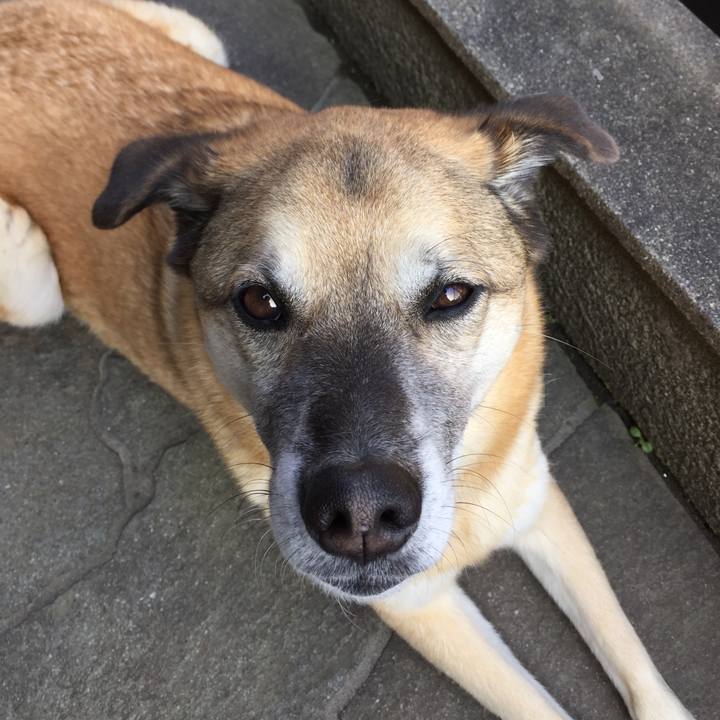 95c115a6 2bd5 4d16 9f08 46e1d9197a0b 1522402783534