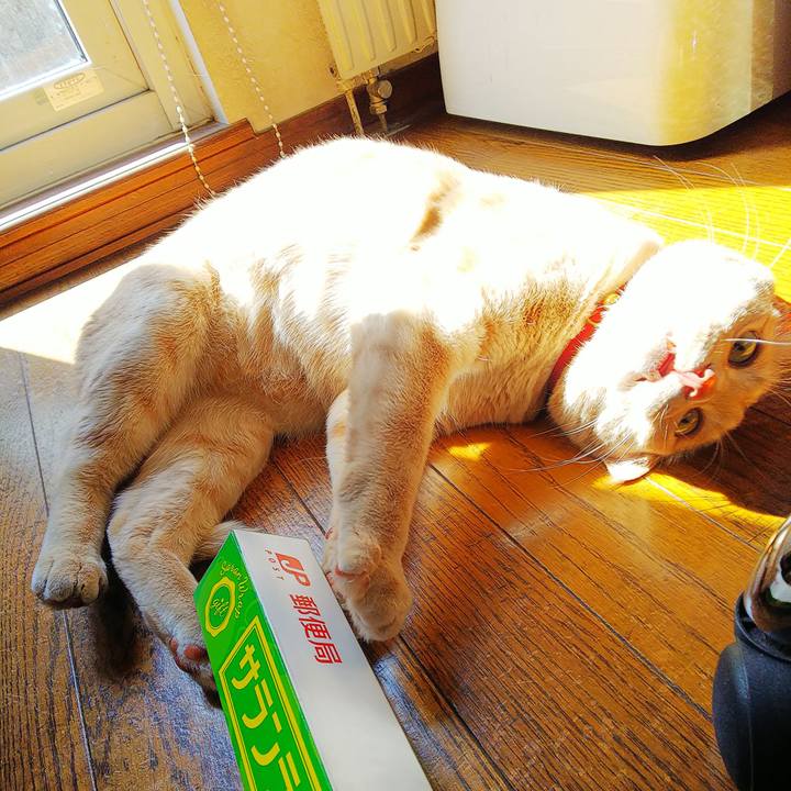 95c11a16 5926 4a82 8994 08109f34596c 1585367947761