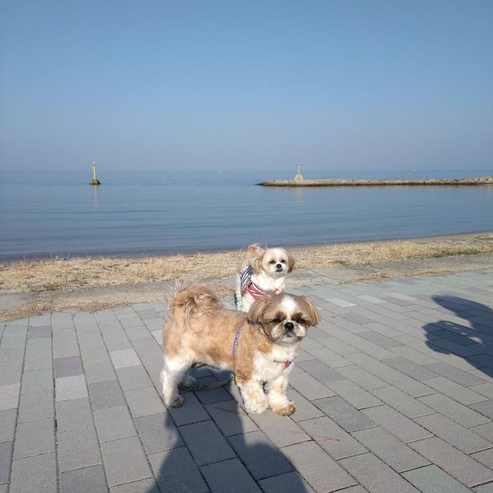 95c1346a a560 4492 8be0 788643311b39 1742599899088