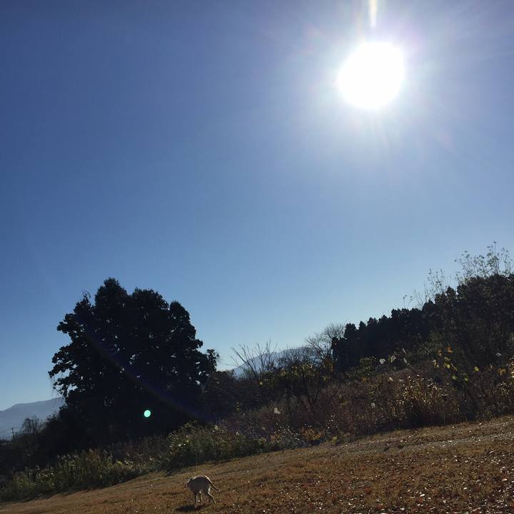 95c15a9c 5896 494d 879d 81767b694e09 1558379797965