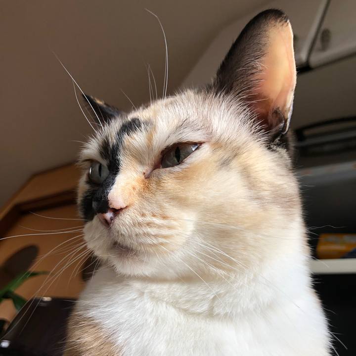 95c19981 1bdb 448a 885d 32e81e09a880 1775671422777