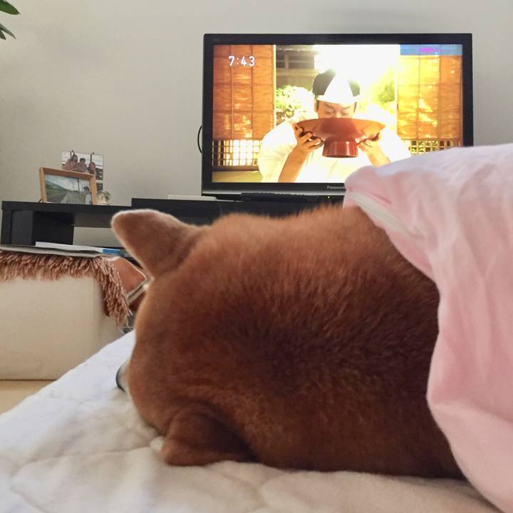 95c1c600 1d05 4d50 805f c4d044cf9d3c 1605326780310