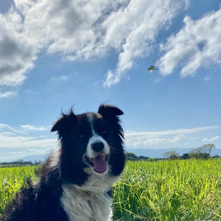 95c237f9 84d6 4b80 b46e a237421b296d 1632013363505