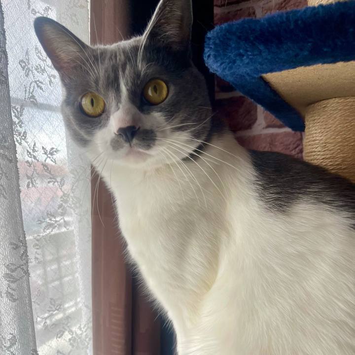 95c2465b 44f3 4b5f 9ba8 f57a183bef86 1638925154049