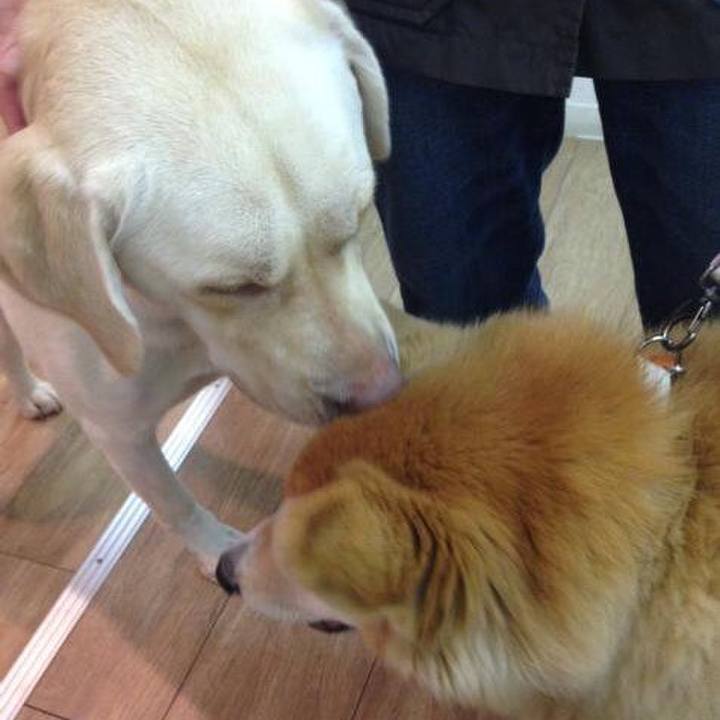 95c247ce bba2 48b6 aeb1 e9e913595f8f 1518519057834