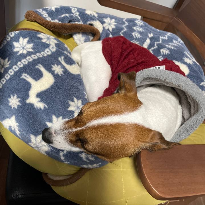 95c25274 7f9a 4456 a409 af643ad5730e 1642637745483