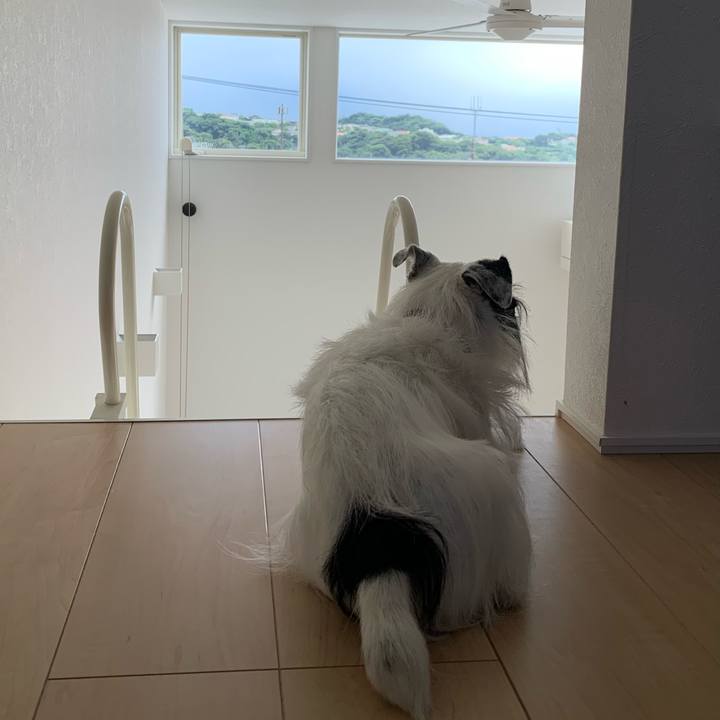 95c261b7 677a 41a5 8273 35c593ae4cce 1661756891427