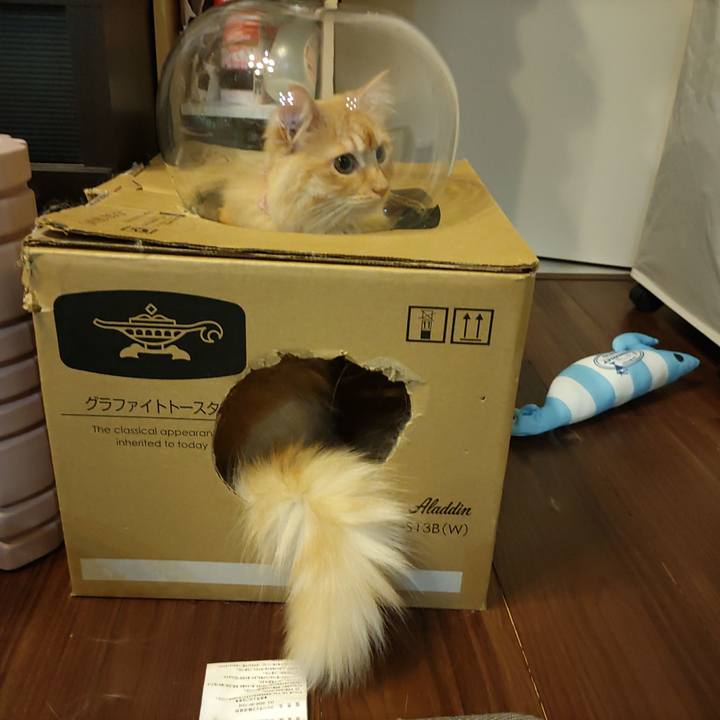 95c28043 9a59 4615 a029 612f28c4ca11 1685798493608