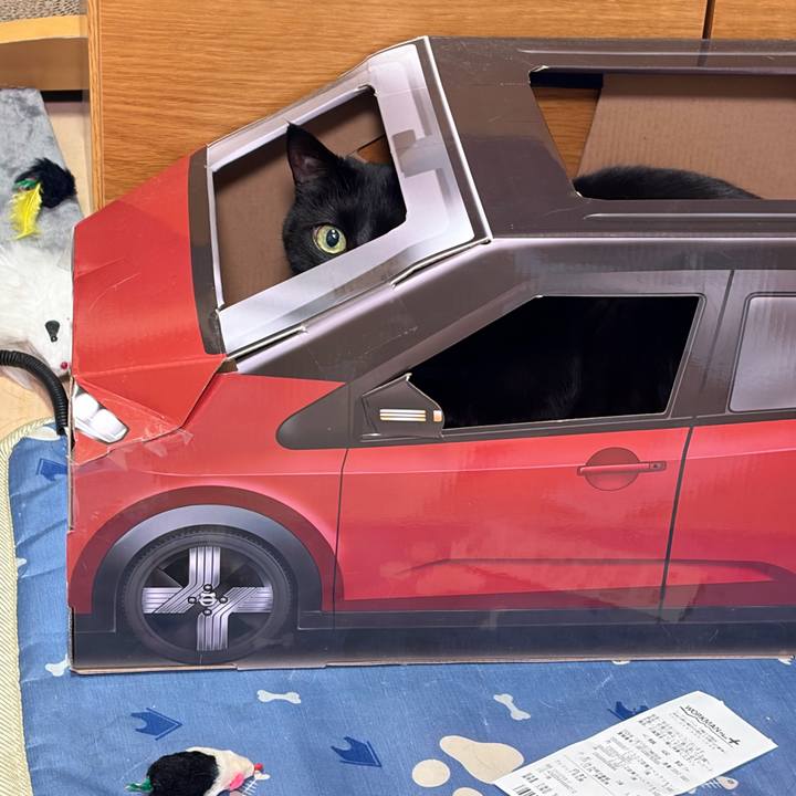 95c285f0 c894 4b11 bdc1 04f9a7cfea70 1770563732059