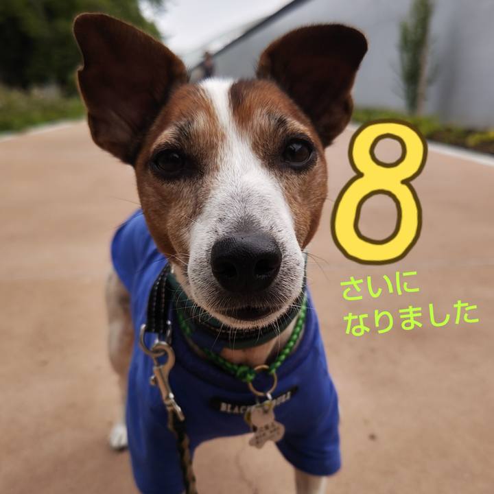 95c29aac 9c7a 46dd a6ea 067d318cbbd8 1754173013213