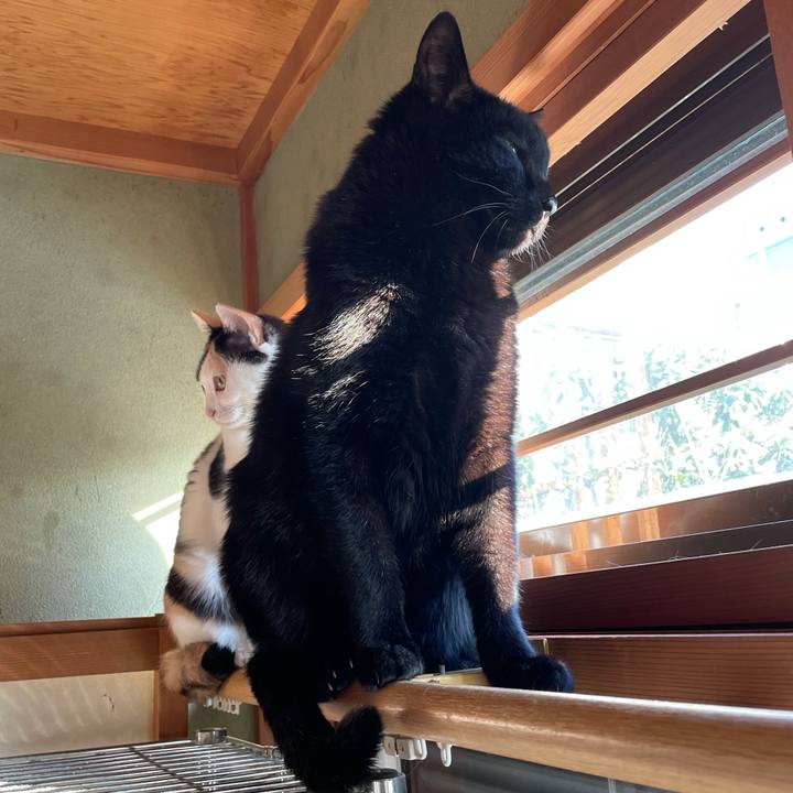 95c2a477 5239 49c7 9e2e 3cfe449a6fe5 1609030769012