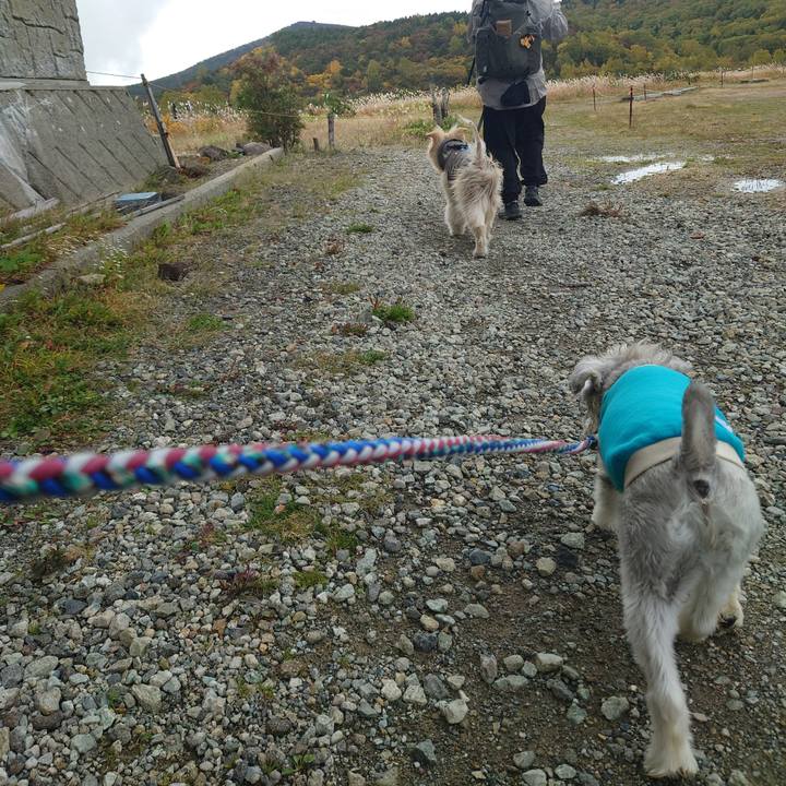 95c2ea10 13f6 4e73 8ce3 46c46b6dea35 1759743248588