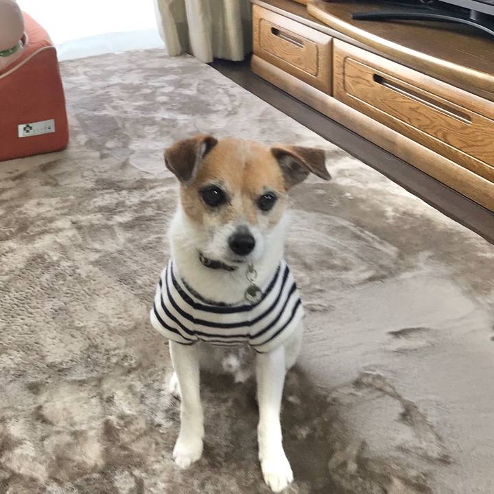 95c31a40 22d9 4ec4 b86c 35c2ec5b19ef 1586576818467