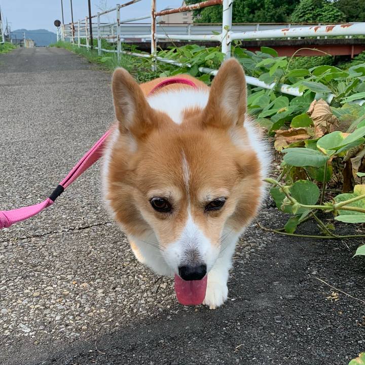 95c33b68 3d31 4927 b94b 59e63c8a1f8c 1720050371607