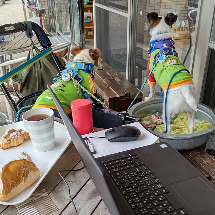 95c3485b 8c86 481b be1f 21b75add3019 1633576911675