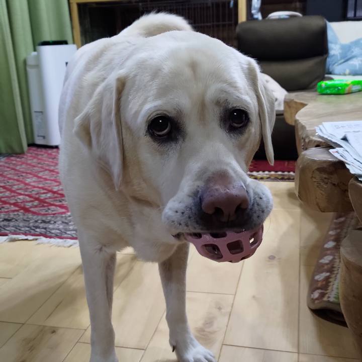 95c3567c a1fa 4892 bc39 d32a775640c3 1668773572676