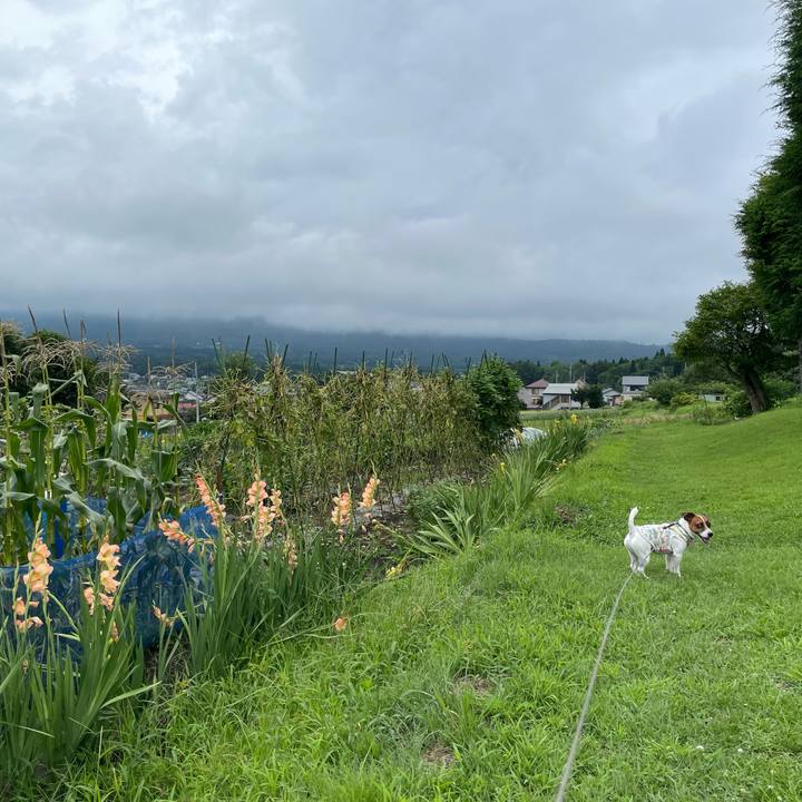 95c35fd3 1105 4afb ba35 93d9e232e832 1629108153745