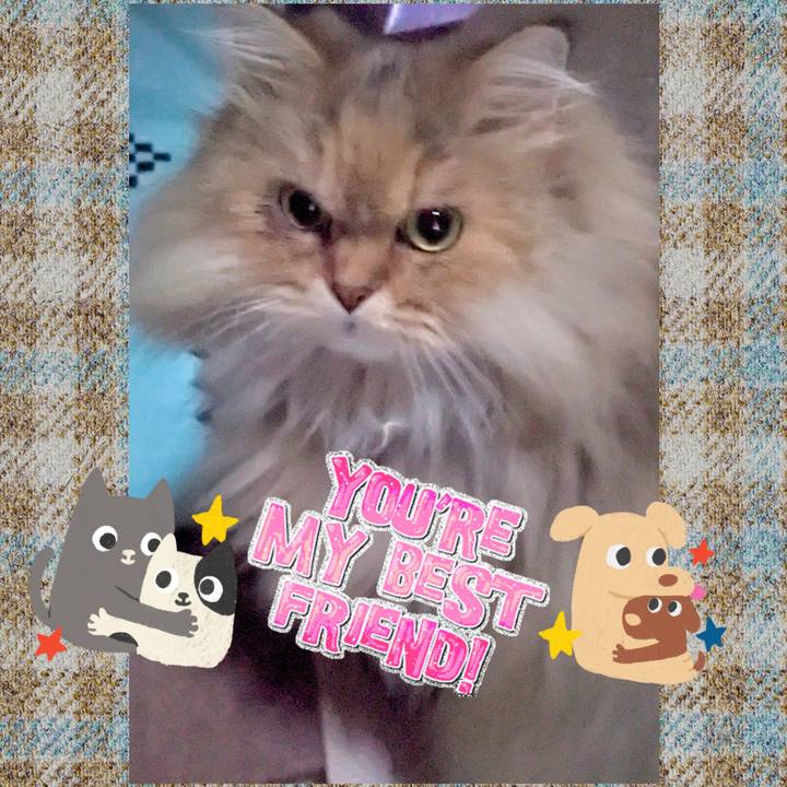 95c3647c 5dca 4b9a a511 2aa9239b5a10 1704007180980