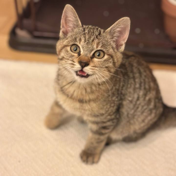 95c36a57 e69c 4cac 9c64 98c34ab45b73 1701386293901