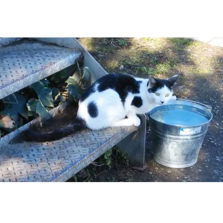 95c371c4 cb54 489b 9701 1eb043409d2c 1636718158620