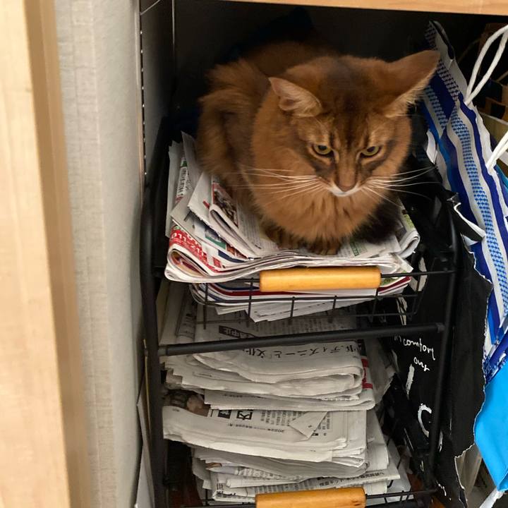 95c372dc c3eb 456c 80e9 b27352c1a24f 1662448627486