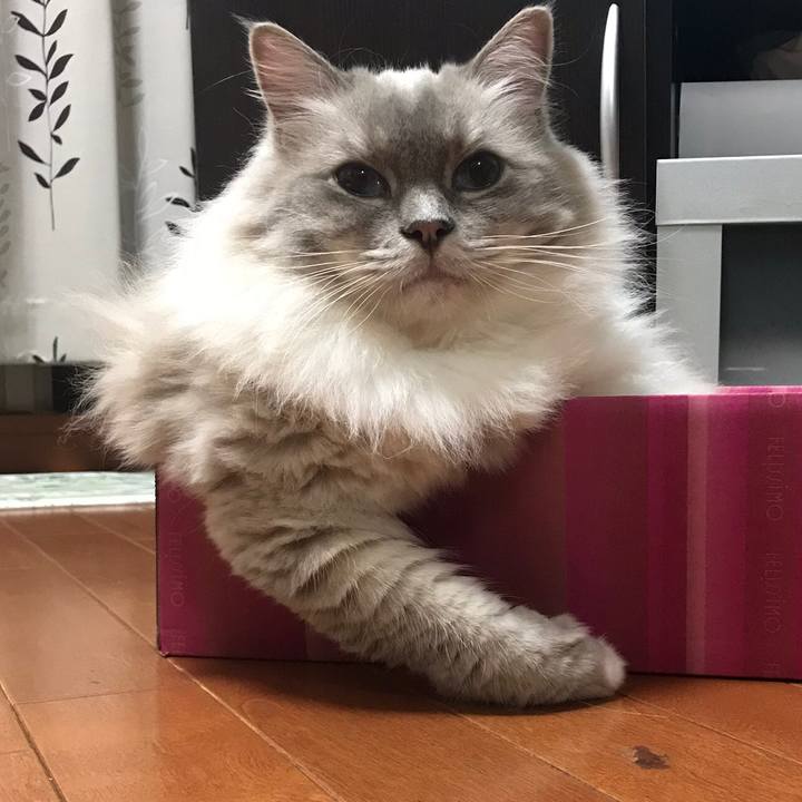 95c38ec6 666d 4e1b ab7b c46db80743b8 1549194216102