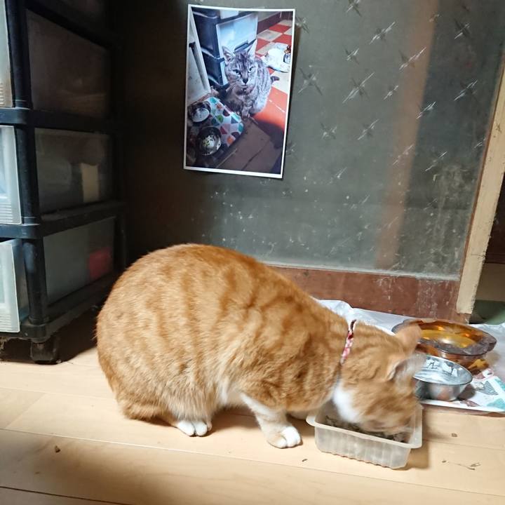 95c39586 b73f 4ba7 9249 24dbdd688282 1602791657577