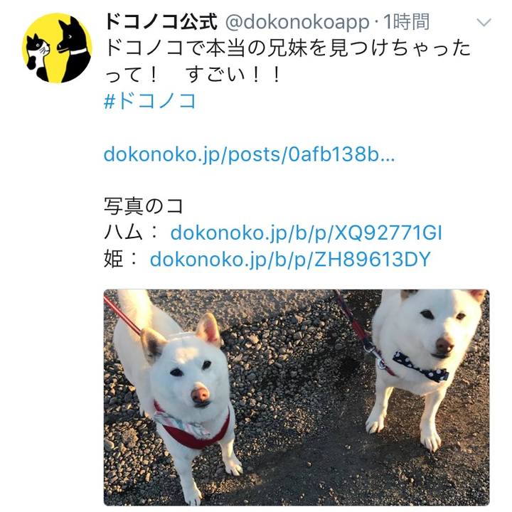 95c3e297 3e20 4694 ade5 9a71e5af25c7 1520506165296