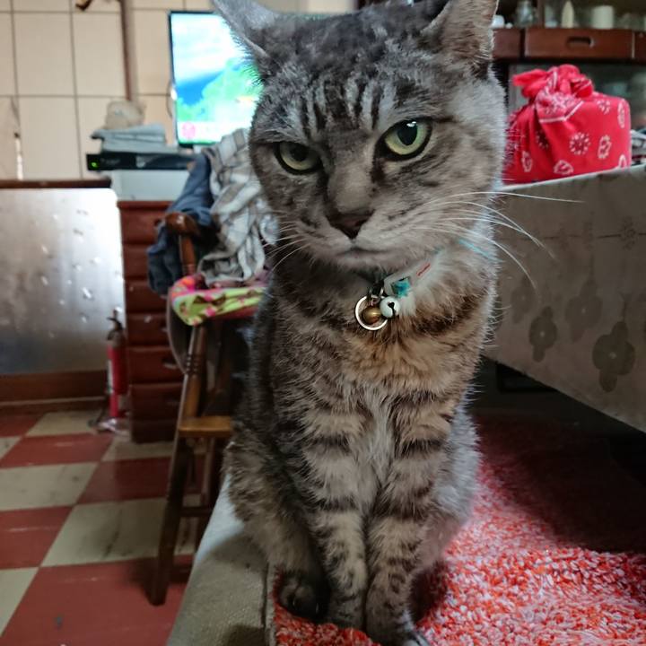 95c3eb09 d379 485e 91b6 d6ce8b63ae4d 1571362918927