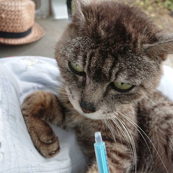 95c40e42 0089 4653 a73d dbd83199ecb8 1596497742048